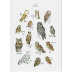 Postkarte - Owls Eulen